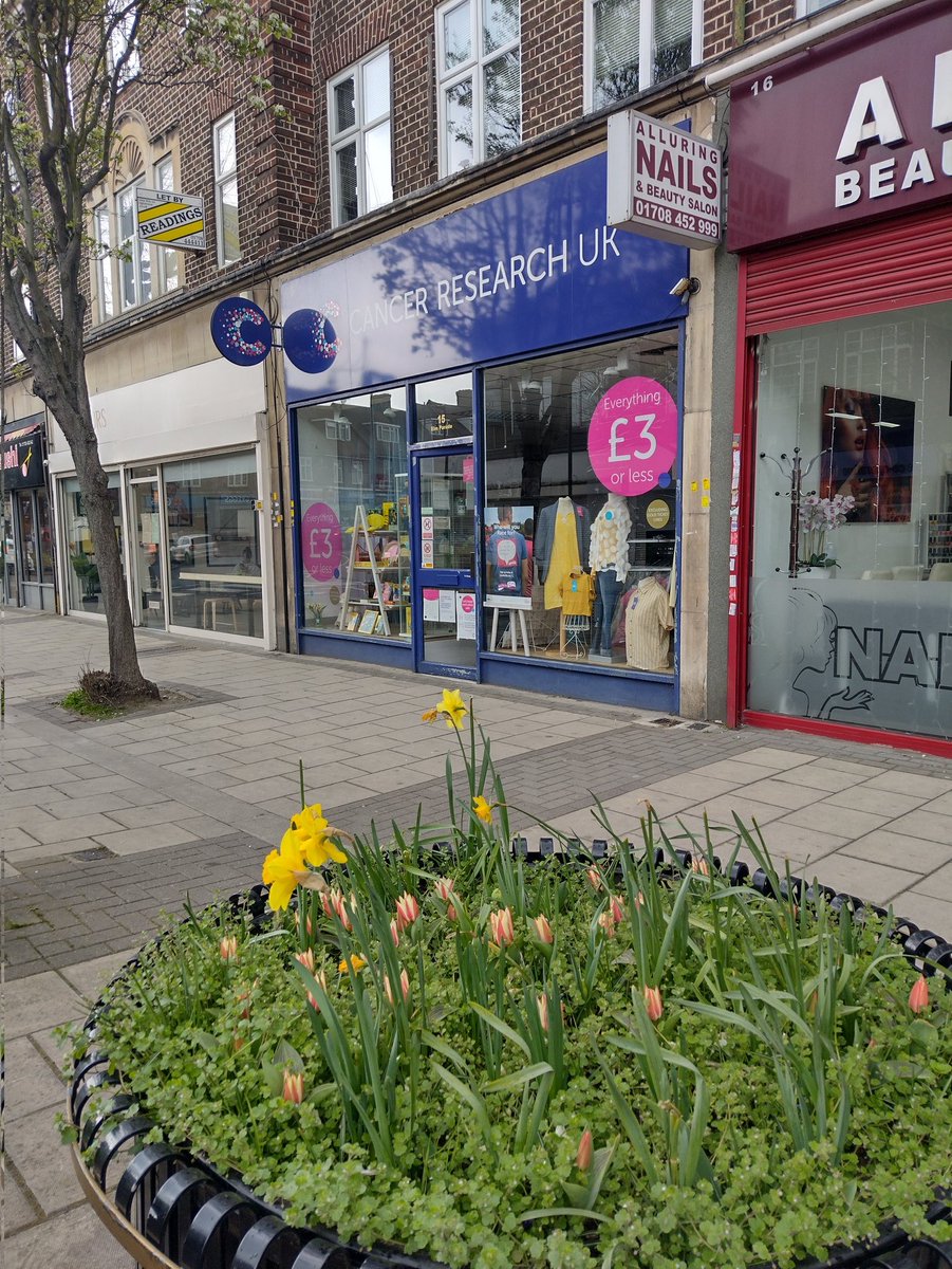 ElmParkShop's tweet photo. Today's window display. We hope you like it. Nice and bright......spring is here. 

#CRUK https://t.co/0nyGCTldM9