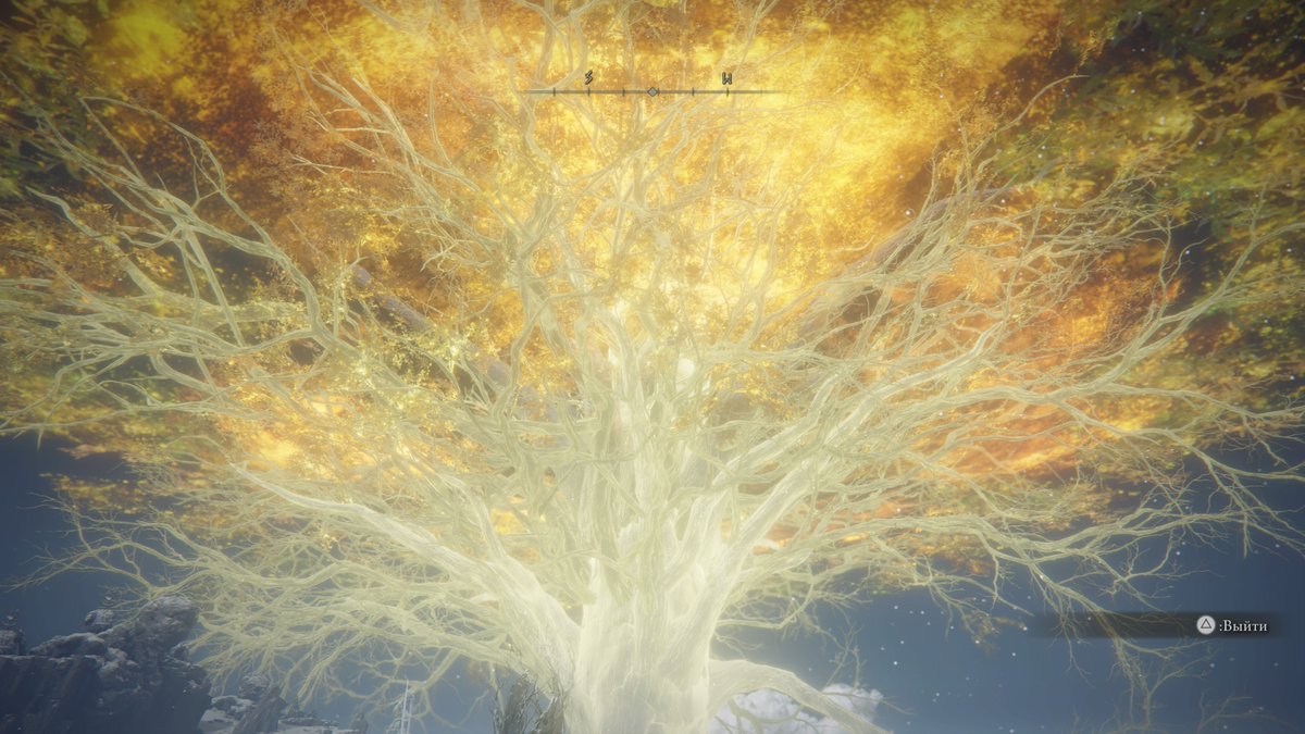 #ELDENRING #PS5Share