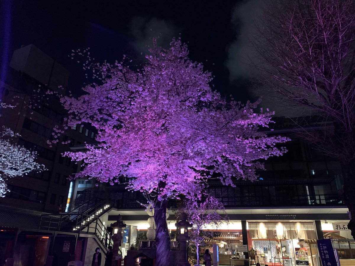 天翔龍閃 tweet media