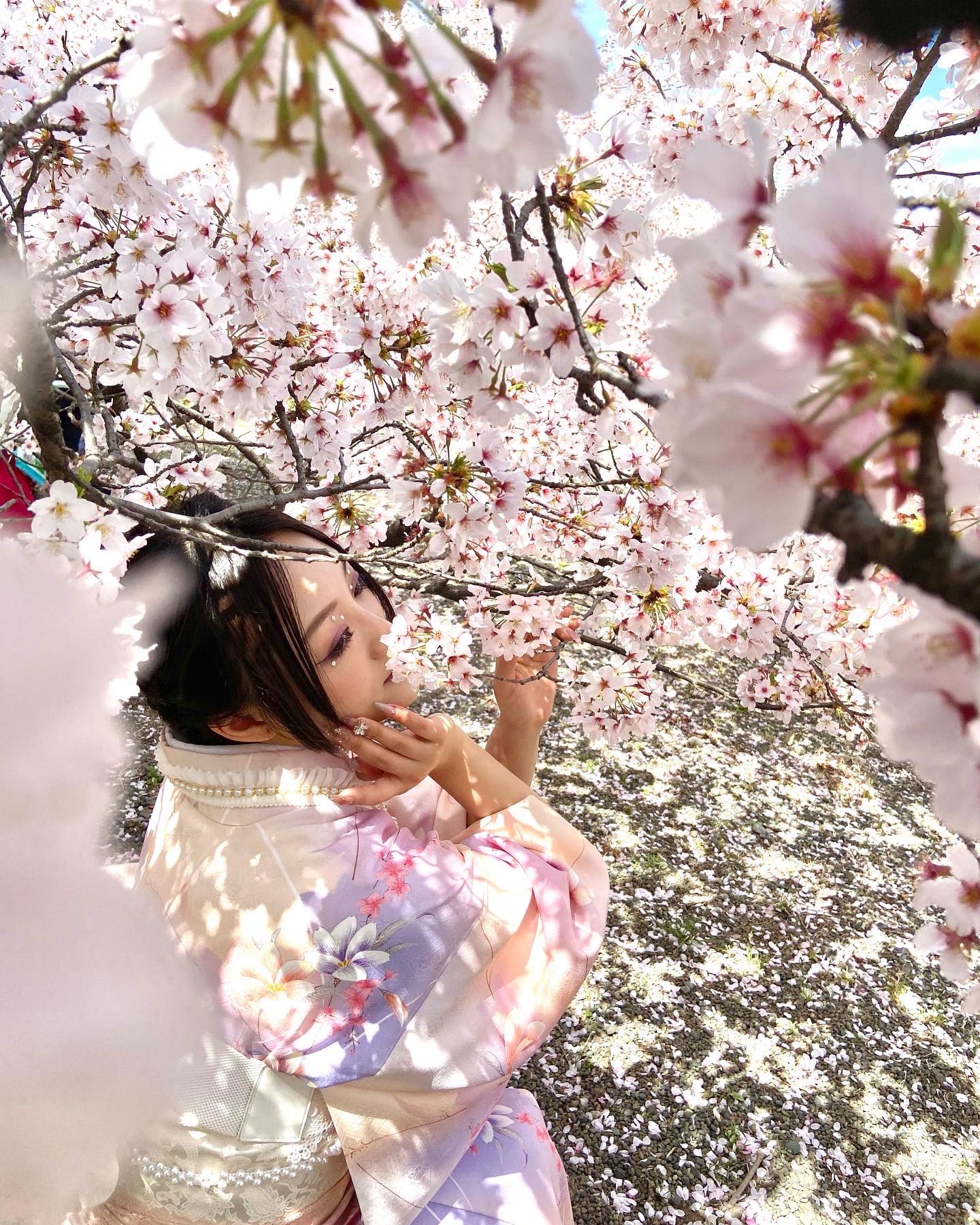 ごんちゃん様 ピンクと水色の組み合わせ 大好き☺️💓 桃の花もきれいだったな