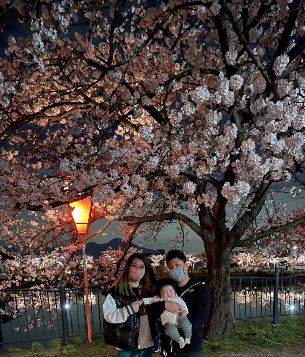 kashibamin's tweet photo. 初サクラ🌸🍃 https://t.co/XcVcqpayab