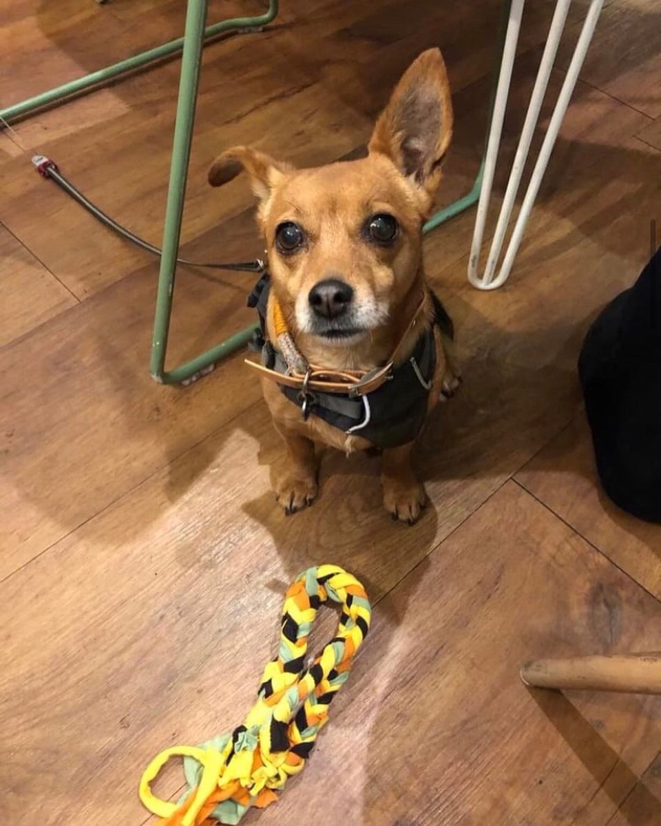 Bread + Roses tweet media