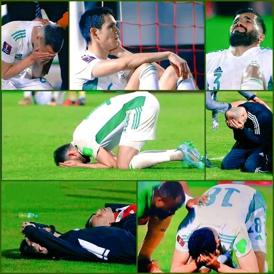 Ha86814575Ha's tweet photo. نطالب بأعادة النظر في تحكيم مباراة الجزائر ضد الكاميرون 
و أعادة المباراة لأن الجزائر تعرض لظلم كبير في تحكيم و أمام جماهيره و في بلاده 
#الماتش_يتعاود
#الماتش_يتعاود 
@FIFAWorldCup https://t.co/FPq9SP3NLN