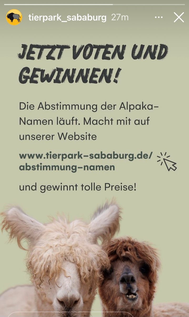 SababurgZoo's tweet photo. ***Namensgebung Alpakas im Tierpark Sababurg***
Ihr könnt jetzt für eurer bevorzugtes Namenspärchen auf https://t.co/yGpywRoDIY abstimmen und tolle Preise gewinnen! https://t.co/0uJZvFMPX9