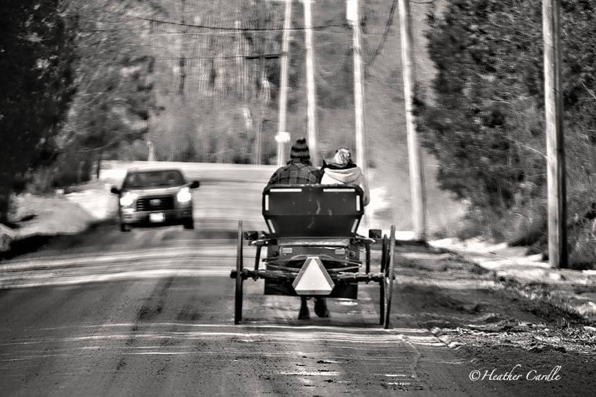 heathercards's tweet photo. #ChickPicotheDay (Day 3,772)
"I'll go get the horse and buggy." You'll say.
And I'll say, "I thought we were taking the hovercraft."
~David Levithan
#Buggy #HorseandBuggy #BlackandWhite #HeatherCardlePhotographer #HastingsCounty #Tweedness #PrayForUkraine https://t.co/akK49oXdNf