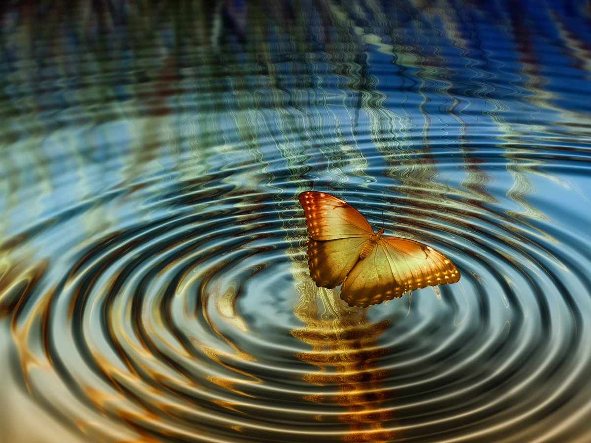 El efecto mariposa nos dice que, incluso las empresas más pequeñas -micropymes y autónomos- generan #impactopositivo.

De hecho, su capacidad de influir en el entorno local los convierte en valiosos #agentesdecambio.
lnkd.in/ecJp_m3w