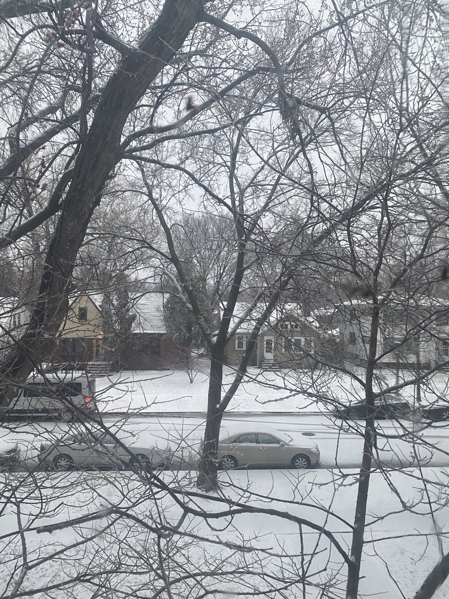 Mwilburn123's tweet photo. Well it wouldn’t be Minnesota if we had one (hopefully) final snowstorm, albeit minor, in late March or early April would it?? #mncheck https://t.co/g5ZKHSFF4p