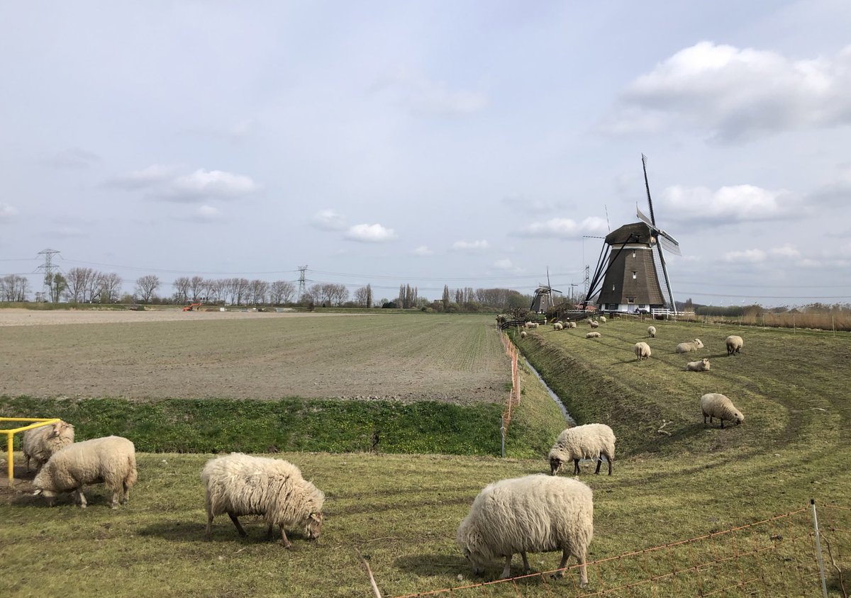 Hoe Hollands wil je het hebben @molen4gang #zevenhuizen <a href="/janvissersweer/">JAN VISSER</a> <a href="/weeronline/">Weeronline</a> <a href="/ricoschroder/">Rico Schröder</a> <a href="/WNLVandaag/">WNL Vandaag</a> @Talpaweer <a href="/WilliamHuizinga/">William Huizinga</a> <a href="/marjondehond/">Marjon de Hond</a> <a href="/GroetUitHolland/">Groeten uit Holland</a>