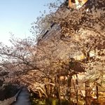 ツイートに含まれる画像