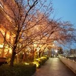 ツイートに含まれる画像