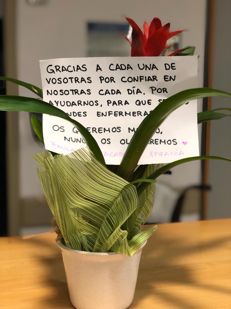 CirugiaCVHURS's tweet photo. Dentro de la labor docente del @HUReinaSofia hoy despedimos a Paula, Epifanía y Macarena, del 3º curso de enfermería de la @Univcordoba que han realizado sus prácticas curriculares en nuestra unidad de cirugía cardiovascular. 
¡Muchas gracias por vuestra labor estos meses! https://t.co/s6GUGoslmg