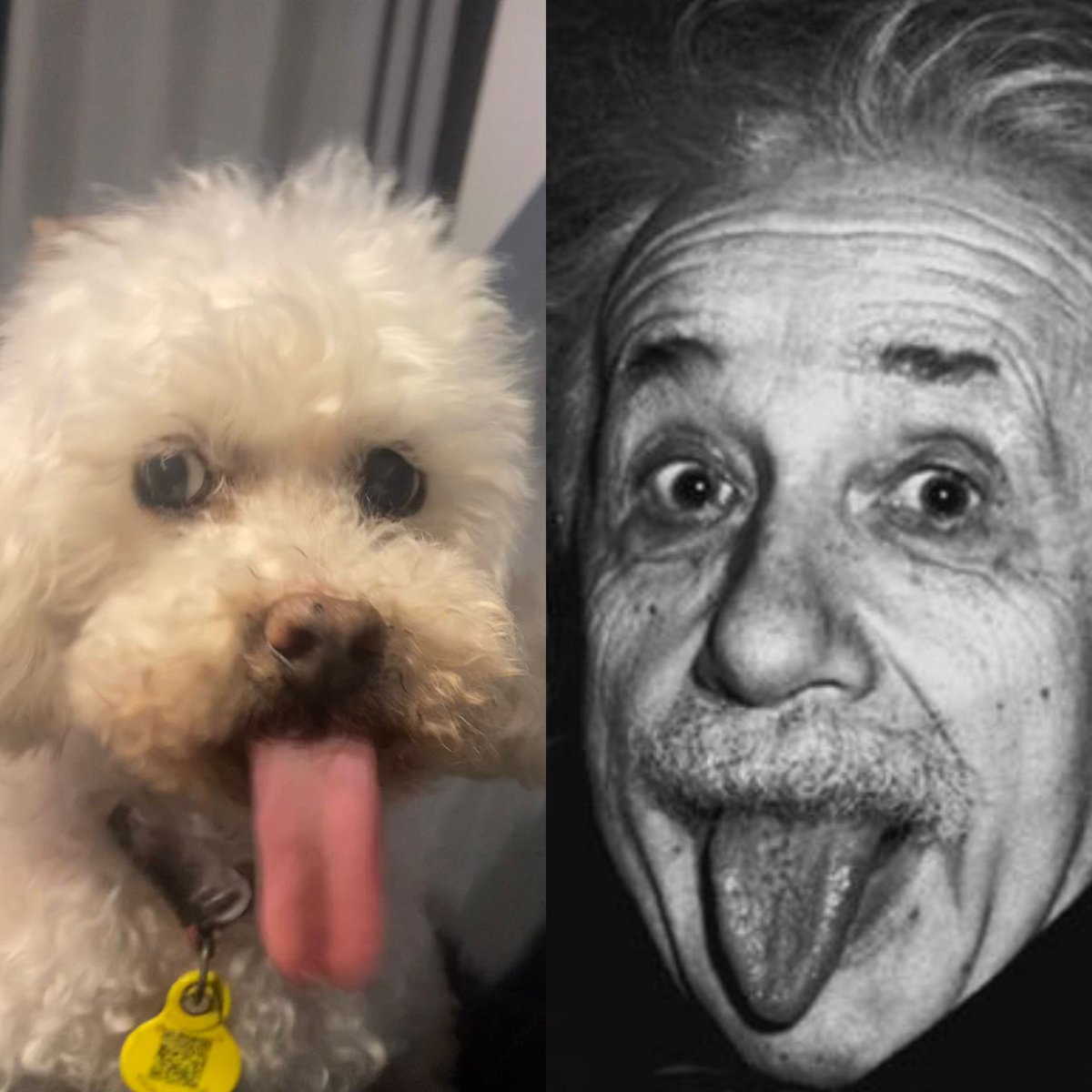 JosuaFC7's tweet photo. Same energy https://t.co/Is20PghJqd
