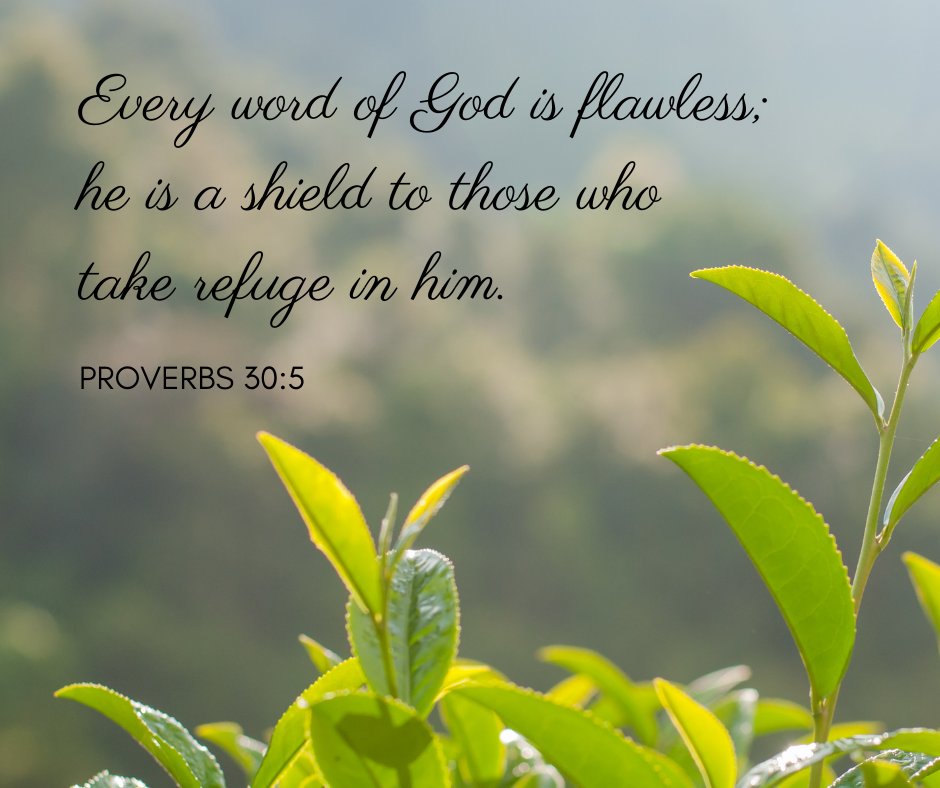 carefreechurch's tweet photo. #Proverbs #Proverbaday #Wisdominproverbs #CarefreeChurch
https://t.co/nzaixWEgUE https://t.co/SOzIAP9qYW