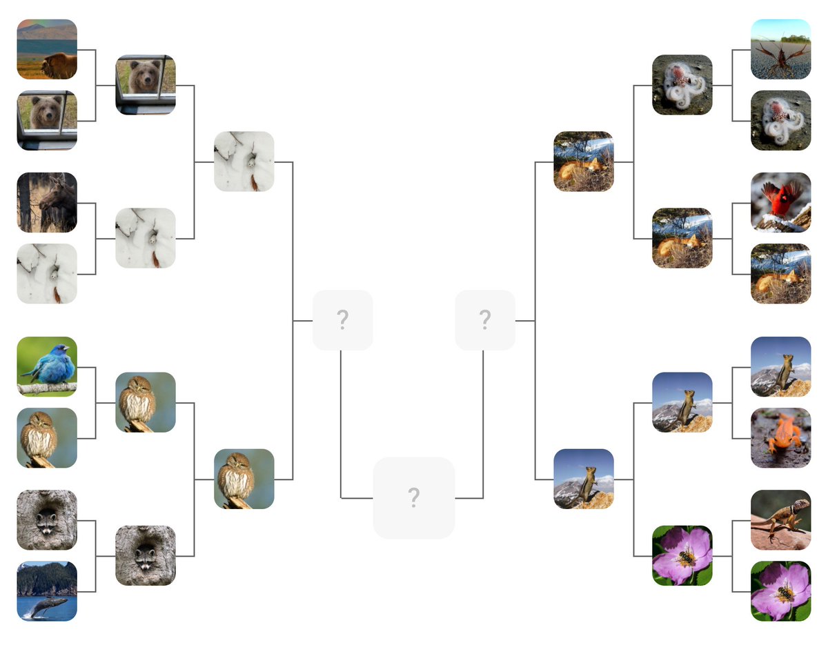 squeemadness's tweet photo. Beloved Bear in the Window lost by only one point!! I hope she and Tiny Octopus are off on a wildly cute adventure together 😭🐻🐙. It's time for the Final Four: https://t.co/cZ3VRHXnbc https://t.co/TrLome7dnR