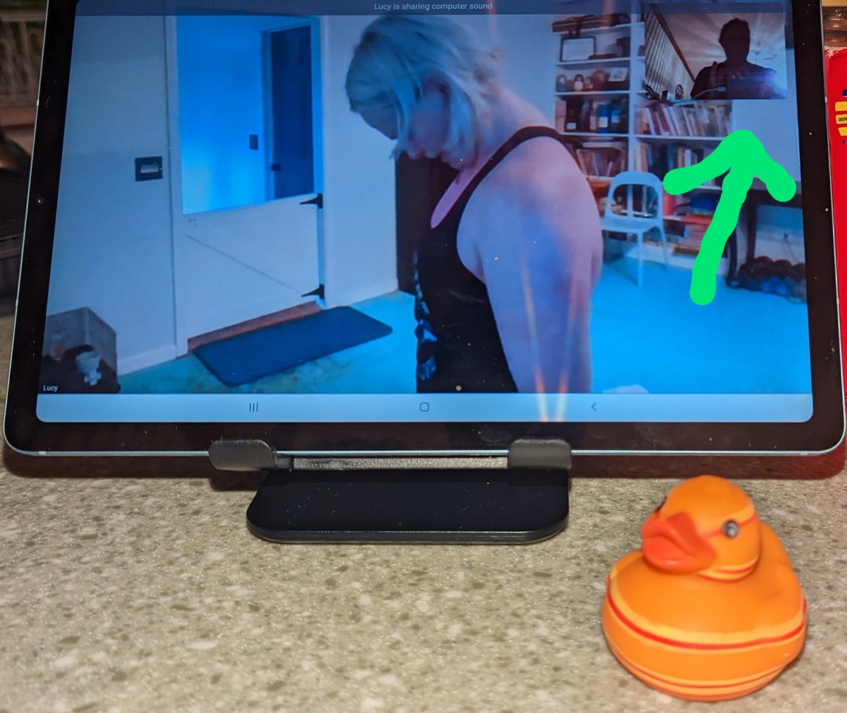 pmcosgrove99's tweet photo. Joined my human for early morning fitness class! It's going to be a great day. #NCHSduckbreak @NCHSActivities @NCHSLRC https://t.co/GxPcmFylXk