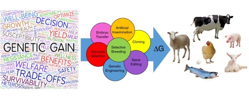 Advances in Animal Science, Theriogenology, Genetics and Breeding | Welcome  to the Journal