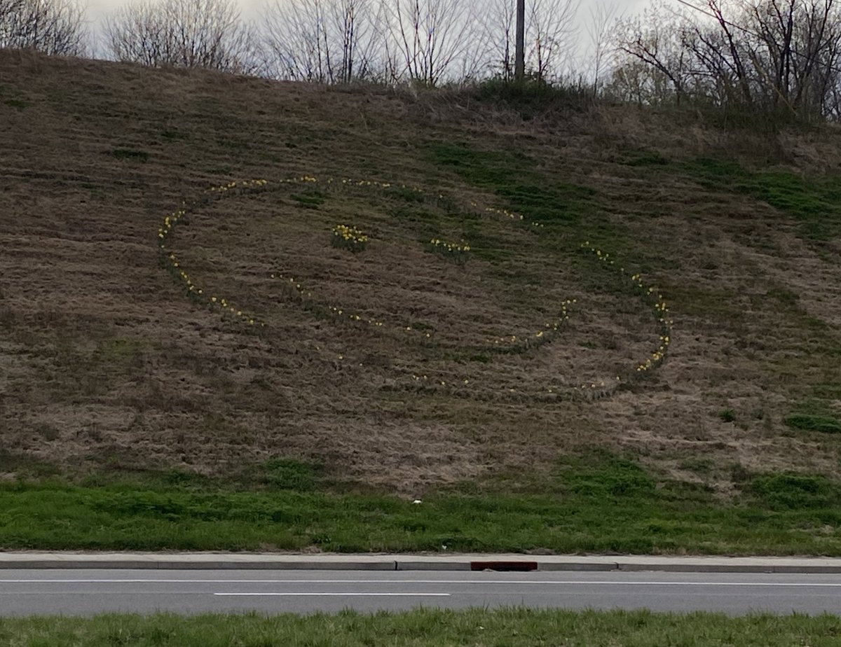 goodeedits's tweet photo. There needs to be more people in the world like the ones who did this. (Warfield Boulevard and Dunbar Cave Road) #flowers #randomactsofbeauty #daffodils https://t.co/un3GZfceyD