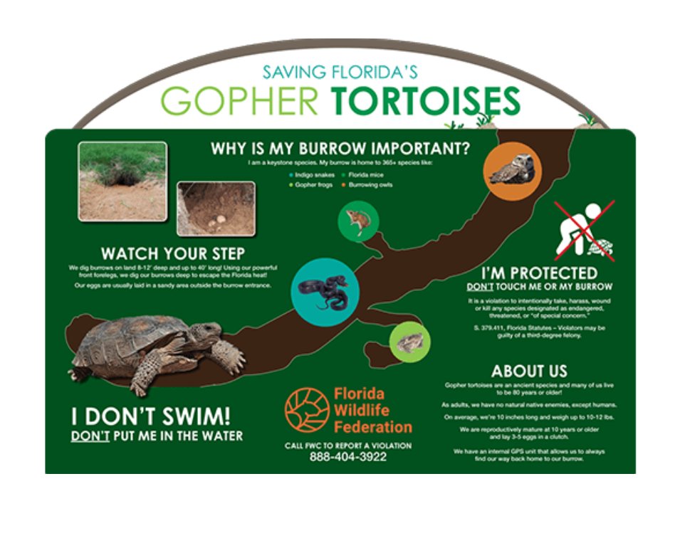 WebOfLifeBooks's tweet photo. April 10 is Gopher Tortoise Day! To find out how you can help protect this important and threatened keystone species go to: https://t.co/xYrhXCvK0J More than 300 species depend on gopher tortoise burrows for survival. @FlWildFed #gophertortoisecouncil https://t.co/ocjy1bBTZ1