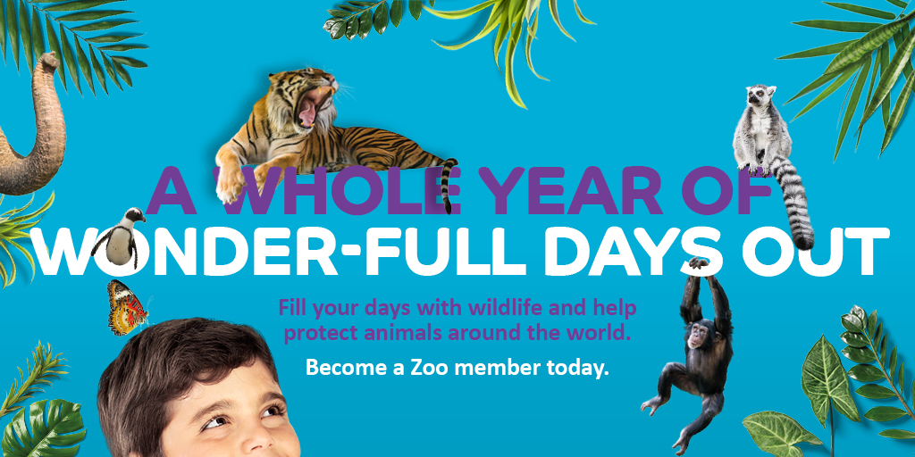 ZSL Whipsnade Zoo on Twitter "Enjoy a whole year of wildlife and fun
