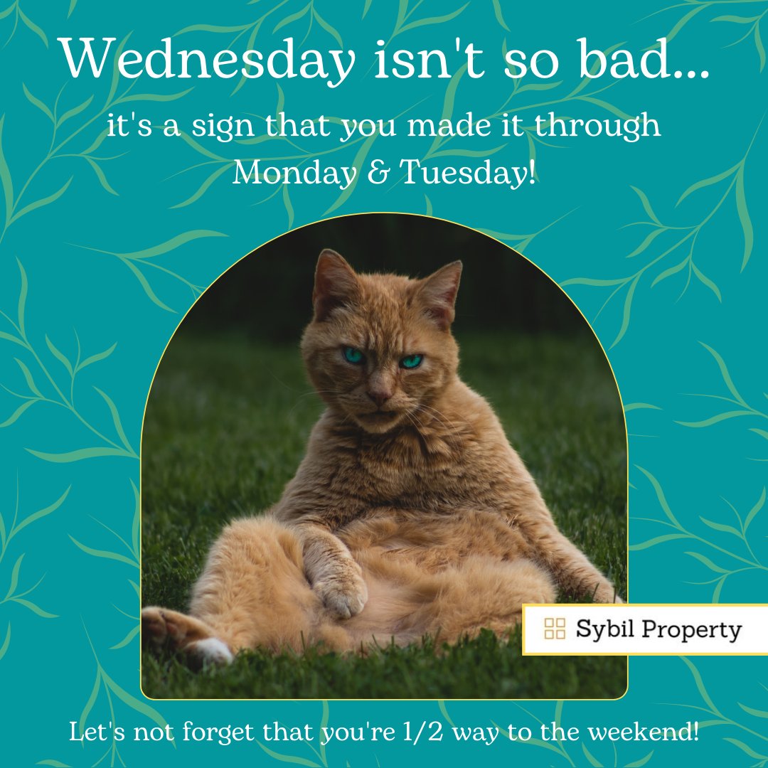 sybilproperty's tweet photo. Keeping up with those #positivevibes. Happy #Wednesday friends! Come on in for some #coffee & good company!
#cowork #coworking #flexibleofficespace #digitalnomad #remotework #conferenceroom #privateoffice #carmelny #putnamcountyny #brewsterny #mahopacny #danburyct #kentny https://t.co/YPePsMmBvf