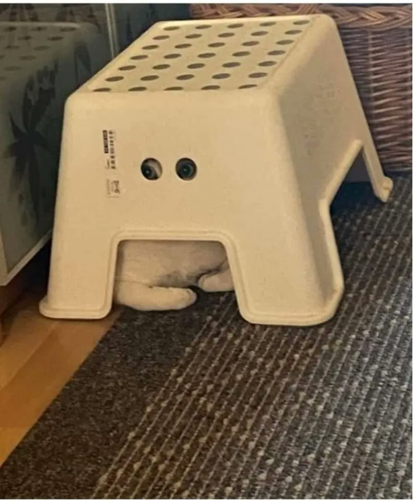 nomorerobotshq's tweet image. 