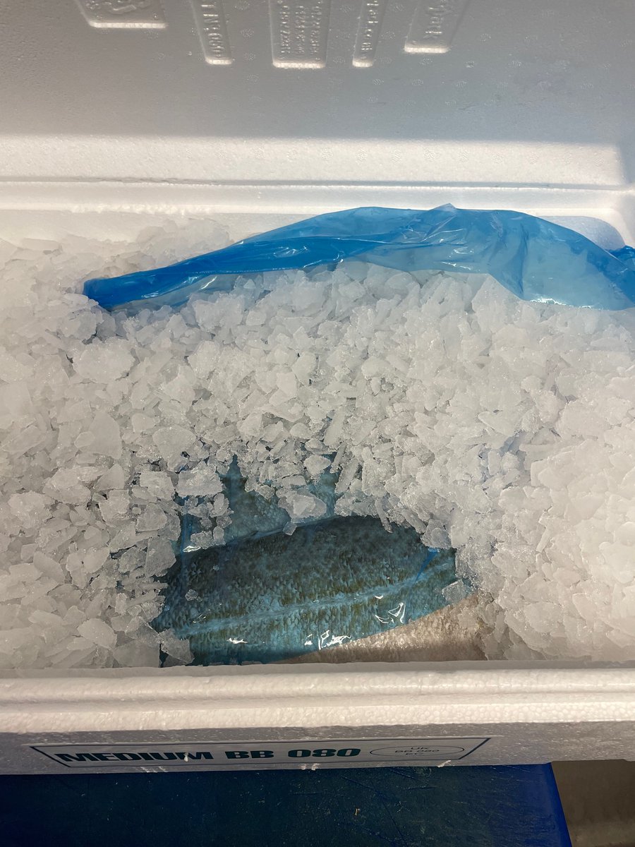 ExpressFishBar's tweet image. Fresh Cod From Billingsgate 😍