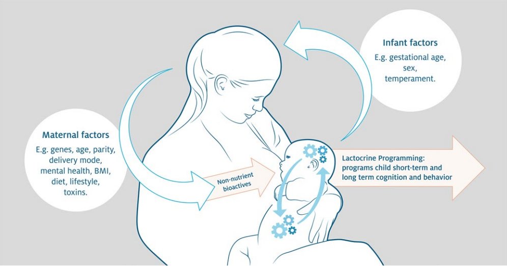 Read this incredible review for answers! It is exciting, hot off the press, and the result of true scientific team work. Thanks to all our enthusiastic, knowledgeable, and incredibly motivated co-authors on this paper! #humanmilk tandfonline.com/doi/full/10.10…
