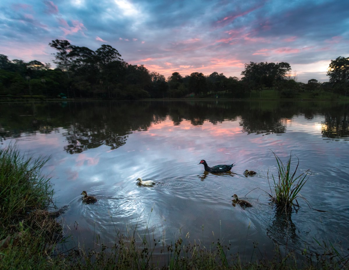 GM twitter! I wish you have a peaceful day!