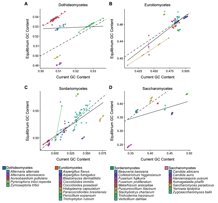 🎉NEW preprint🎉Qianhui Zheng—#wondergrad mentee—examined patterns of SNPs from the 537 genomes spanning 30 #fungal species (#Ascomycota), and found that there is no universal #mutational bias. In contrast, #bacteria have a universal AT mutational bias. 🔗tinyurl.com/26mmb46x