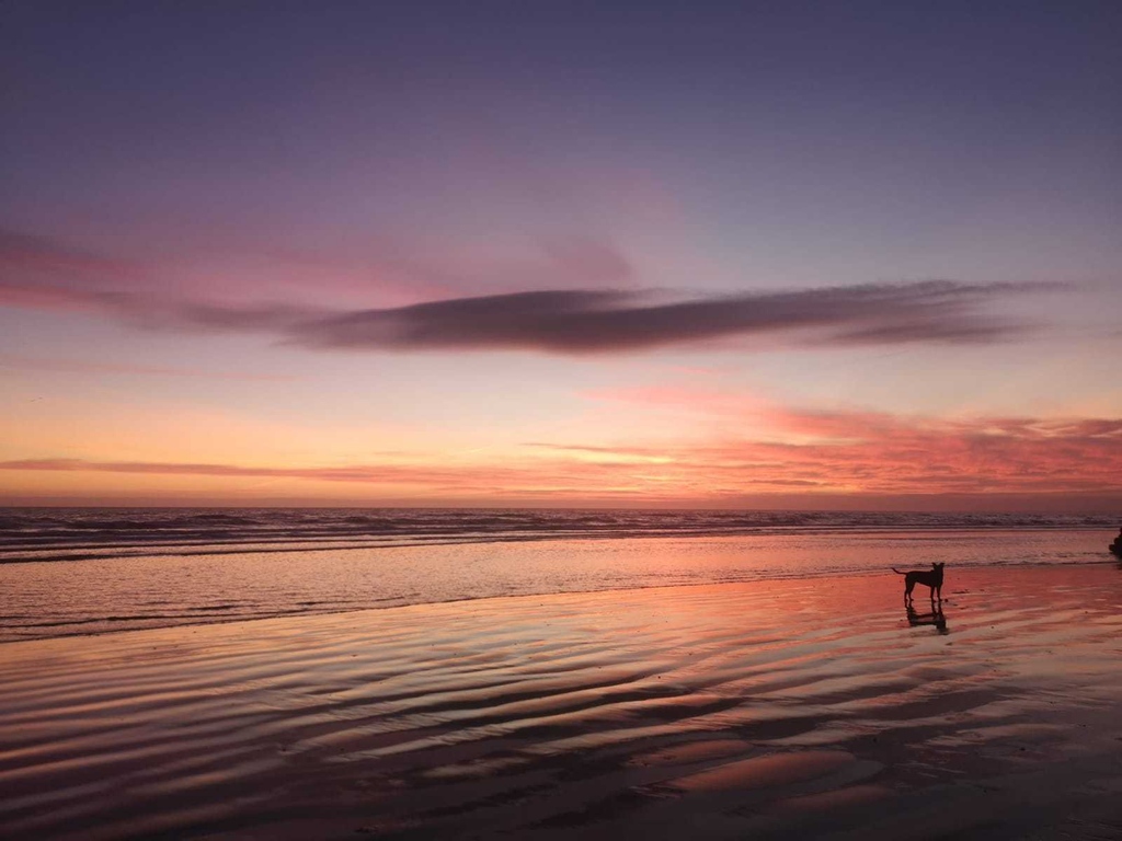 SOLDesign_Col's tweet image. Peace and calm can help us to connect to our creative self.  For me, swimming in the path of the moon gives me clarity. How do you make space for your creativity? If you need help interpreting your inner voice, then sign up for a coaching session here bit.ly/3Ls8WcL