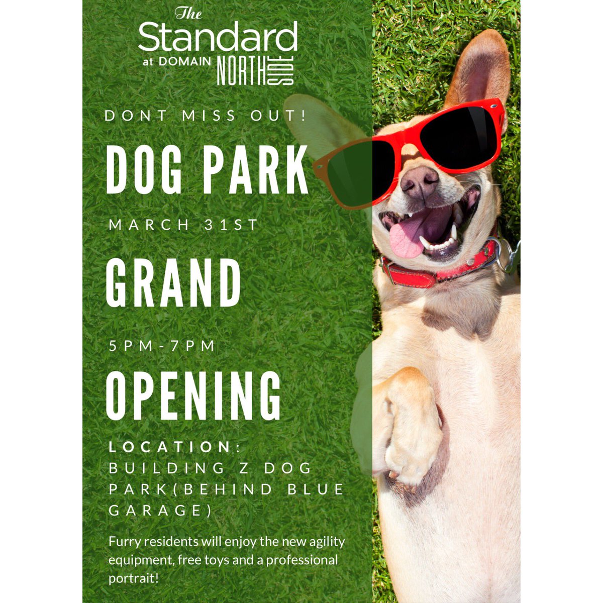 Standard_Domain's tweet photo. Don’t forget the grand opening tomorrow! 💚🦮🐕‍🦺 You don’t need a dog to join us! 🙌  #standardatdomainnorthside #thisisnwrliving https://t.co/QZzlRFCEJO