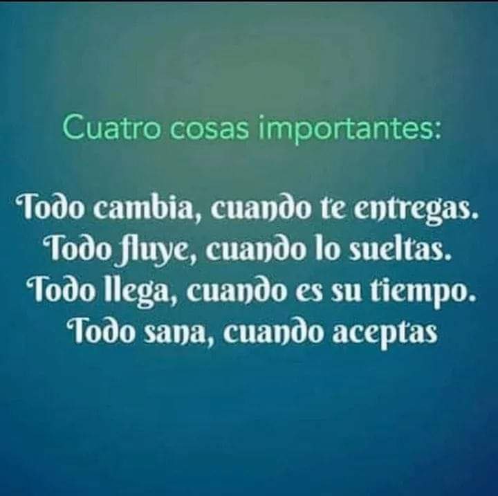Minerva44827476's tweet photo. 🌸 Cuatro cosas importantes! 🌸 https://t.co/bXtKqzDjbt