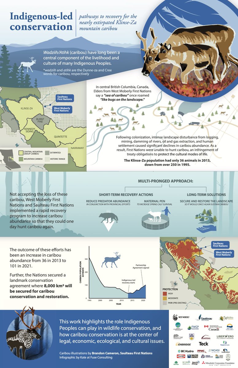 There is a lot of discussion about weaving Indigenous and Western knowledge systems. But what does it look like in practice and how can it provide deeper insights?

Let me share a compelling example co-produced by First Nations and academics.

🧵⬇️
esajournals.onlinelibrary.wiley.com/doi/10.1002/ea…