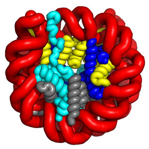StAndrewsBSRC's tweet photo. BIOLOGY/BMS External Seminar: Dr Andrew Flaus @andrewflaus from @nuigalway : How do histones provide a responsive chromatin environment? Wednesday 6th April at 1 pm on @StAndrewsBSRC Teams. Hosted by @hcferr 📷https://t.co/Yg6vp5LfeG https://t.co/Io90YWqOOL