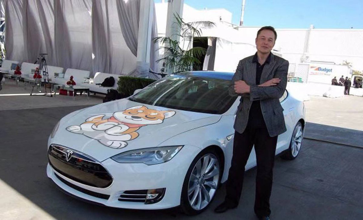 denis_denii's tweet photo. @MrBigWhaleREAL @binance You are forget @Sincere_Doge ?😅
@elonmusk #SDOGE #sinceredoge #ElonMusk https://t.co/t31fIutce4