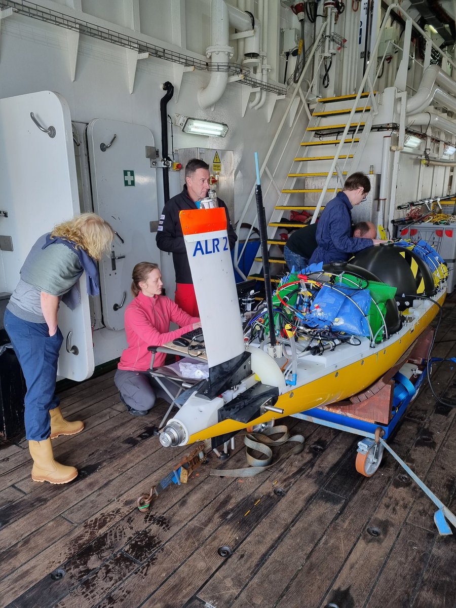 Mark Moore tweet media