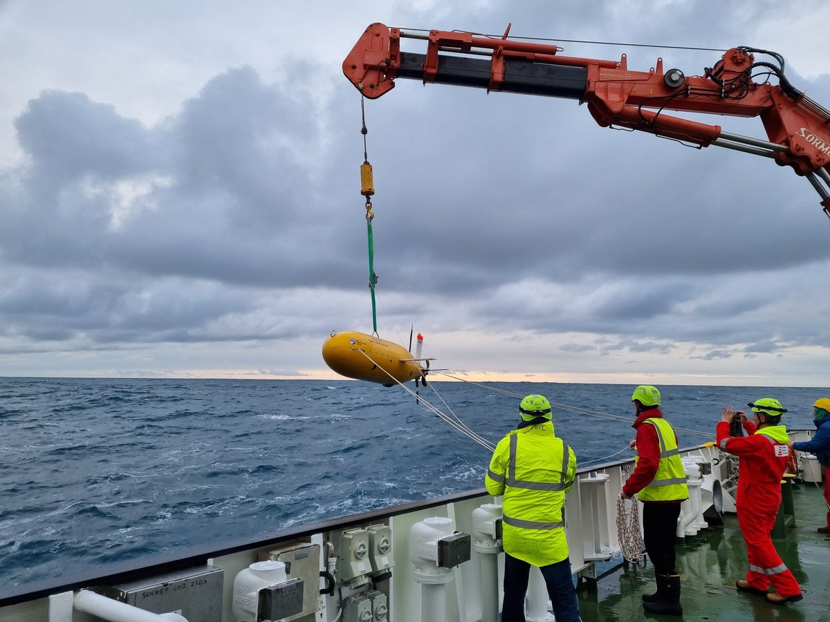 Mark Moore tweet media