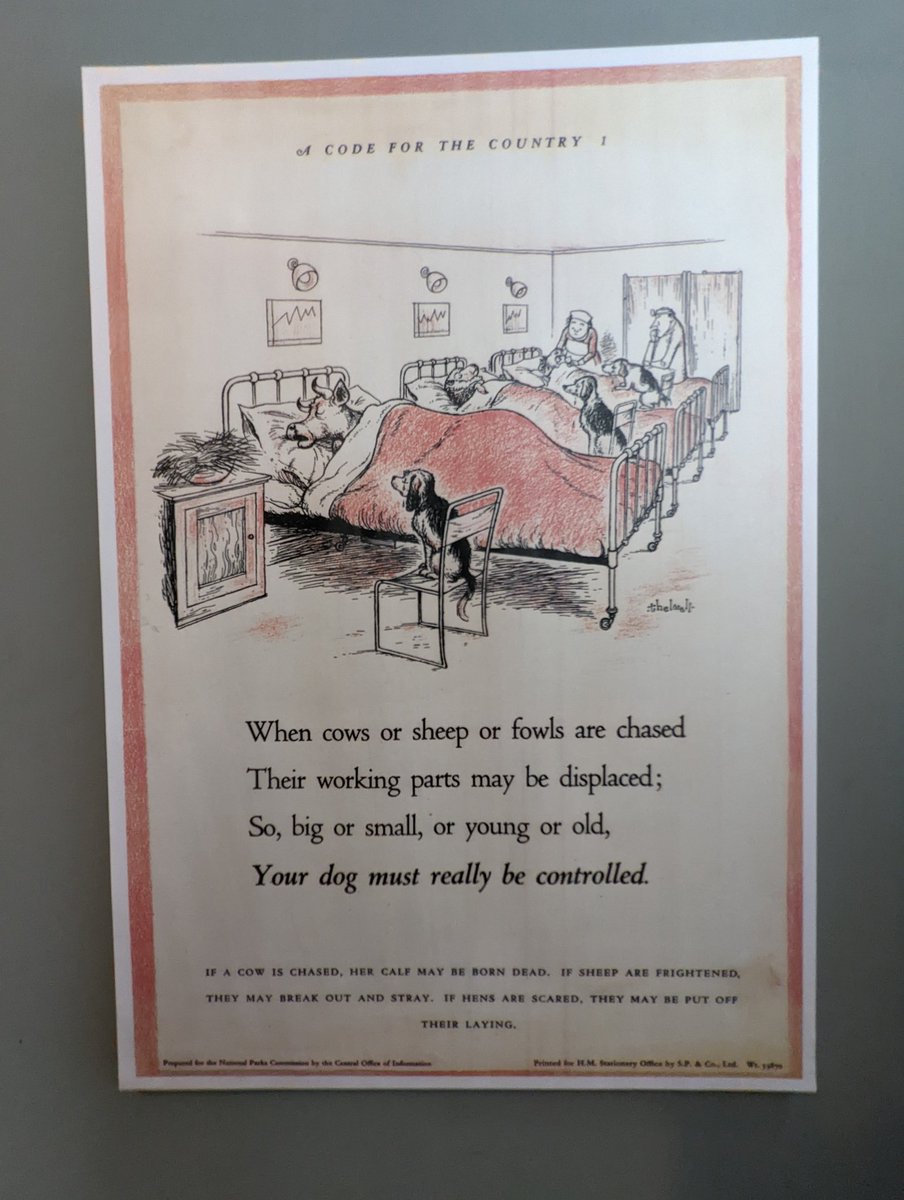 FionaFo65925783's tweet image. #TheCountrysideCode poster by #Thelwell, at #BellinghamHeritageCentre commissioned by the National Parks in 1951. #NorthumberlandNationalPark was founded in 1956 and includes #CheviotHills #TarsetValley and parts of #KielderForest all near to Bellingham #CapitalOfTheNorthTyne 1/3