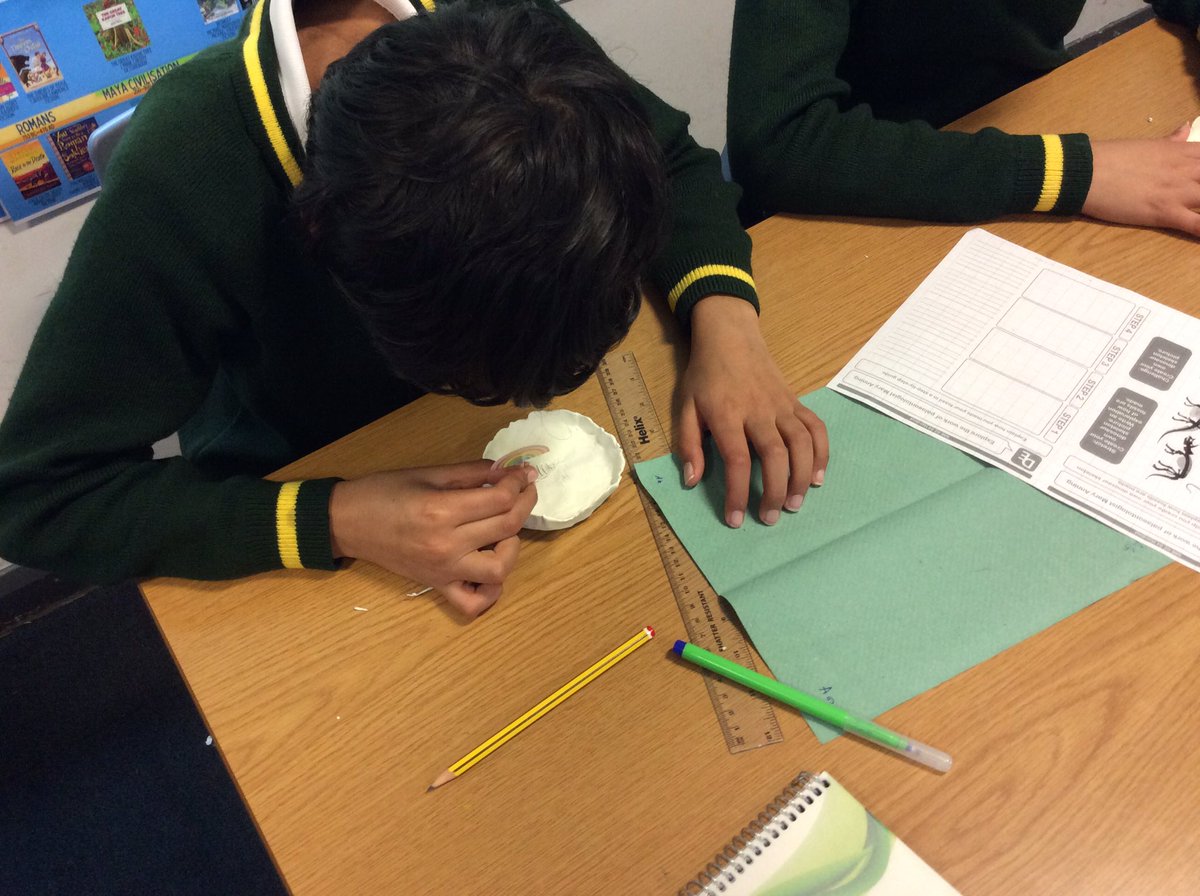 MrsBrydenEPS's tweet photo. Inspired by the life and work of Mary Anning, we are creating our own fossils in Year 6 today. Tomorrow morning we will be able to see our finished work! #WeAreBrightFutures #scienceatElmridge https://t.co/vPPcVUuf81