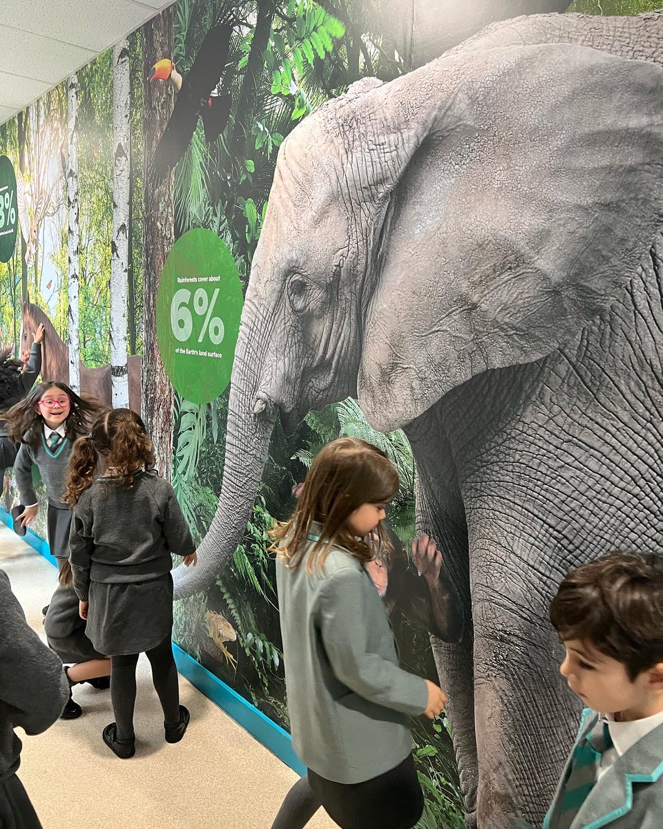 APSofL's tweet photo. At Apsol, we consider the impact each part of the school has on learning. We believe in immersive environments where children can explore, dream and discover. Our corridors have become teaching spaces, rich in knowledge, facts and wallart that generate curiosity and enthusiasm. https://t.co/VPoMk8xeES