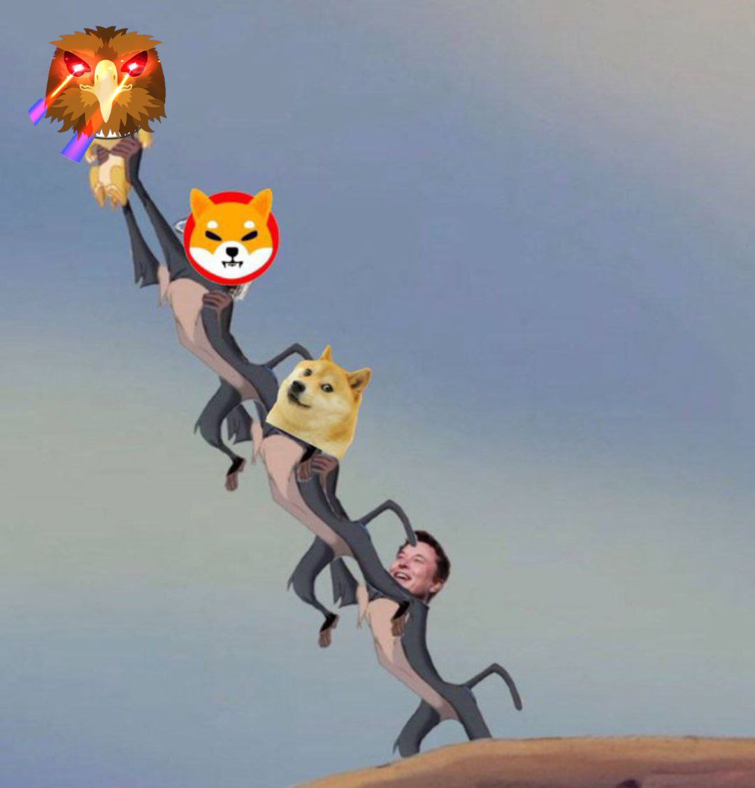 Thank you for your service <a href="/elonmusk/">Elon Musk</a> <a href="/dogecoin/">Dogecoin</a> <a href="/Shibtoken/">Shib</a> $qom rules then all.