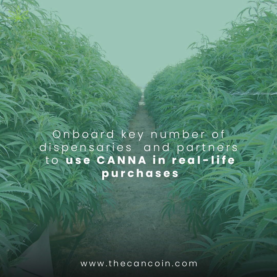 thecancoin's tweet photo. #CANNANextSteps We will onboard key number of #dispensaries and partners to use #CANNA in real-life purchases. 

Want to partner up with us? Slide us a DM!

#TheCanCoin #DeFi #CeFi #NFT https://t.co/pC9Urfwv19