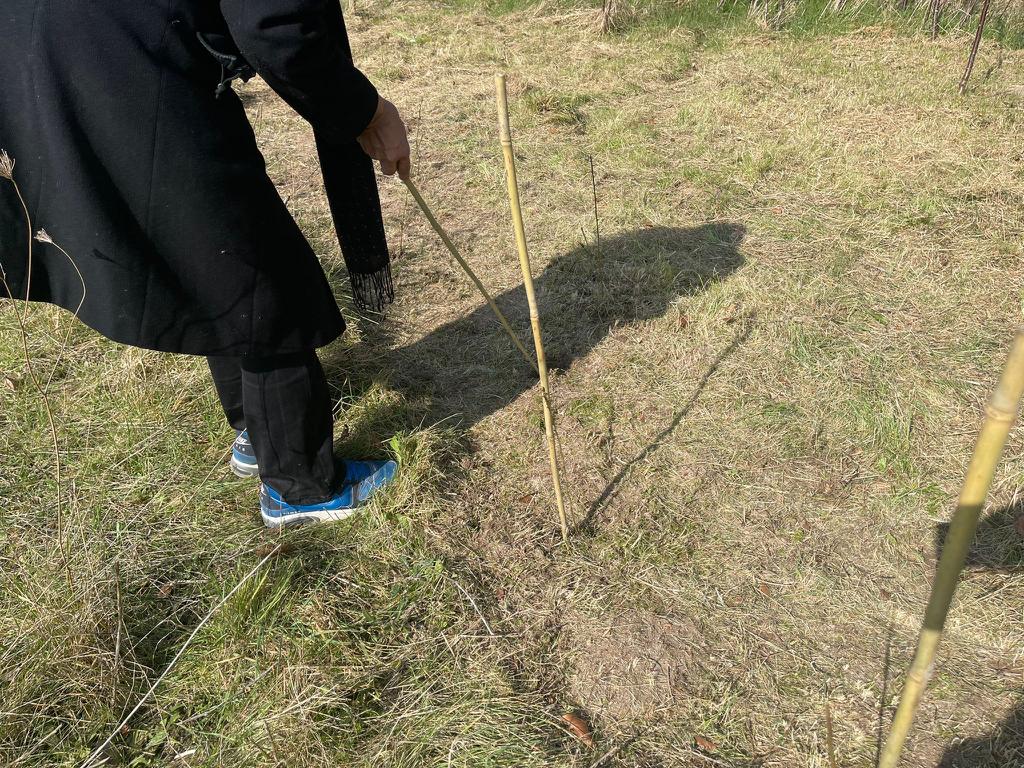 LajnaUK's tweet photo. #Ahmadiyya Muslim women from @LajnaEast planted 400 trees as they continued with the campaign to plant
 100,000 trees in 🇬🇧 to mark #100Years of Lajna Ima'illah. https://t.co/sTy6YPZQ9F
