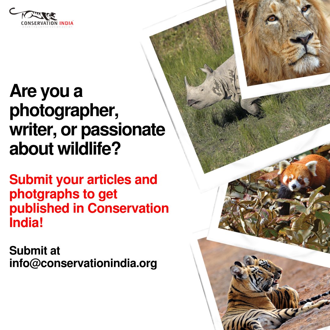 Steps To Conserve Wildlife 40 Astounding Ways To Protect And 