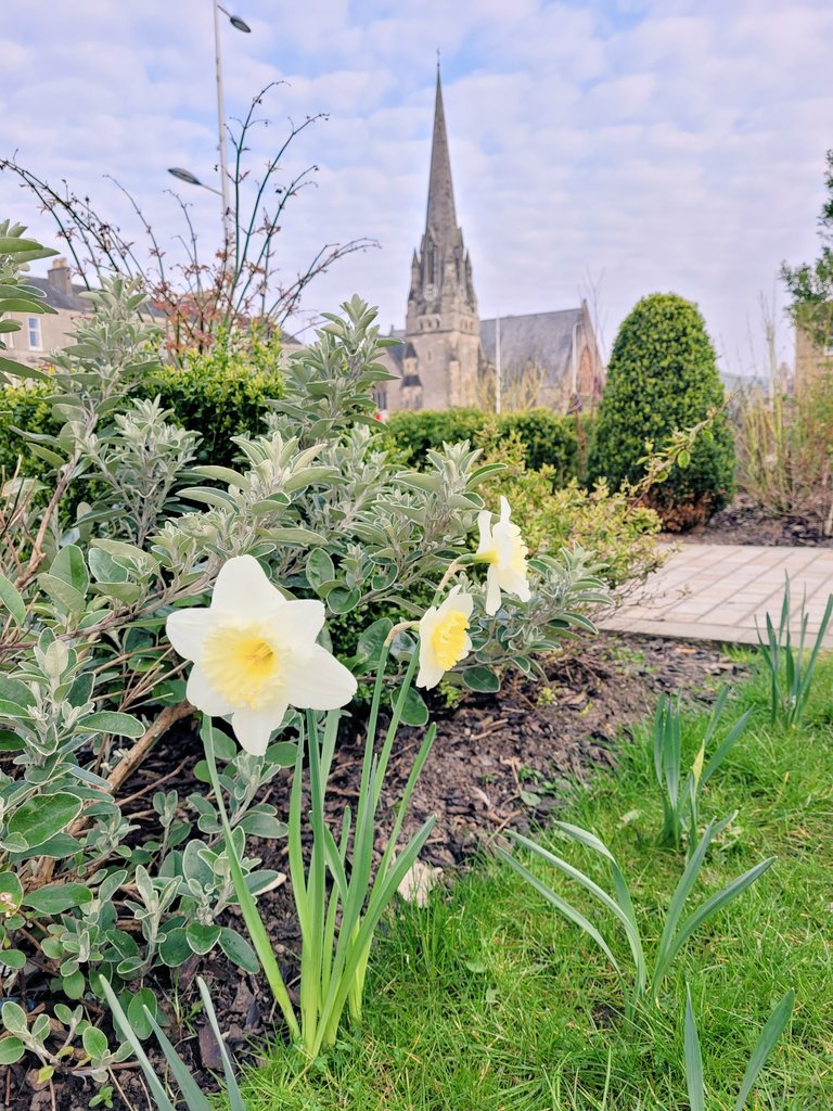 bonnieweedesign's tweet photo. A splash of colour Doon the Watter 😍 Our lovely hometown looking beautiful in Spring 🌼
#helensburgh #love https://t.co/8XHmPbHsAl
