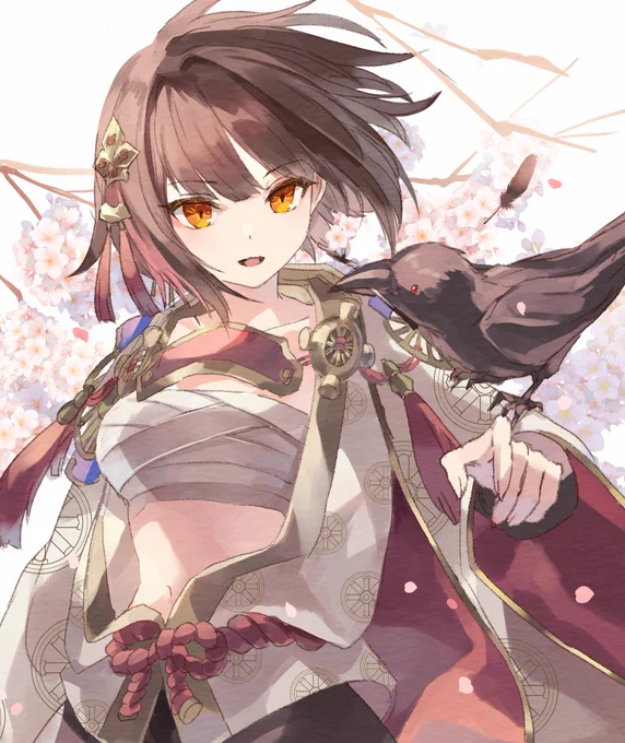 セイナちゃん 