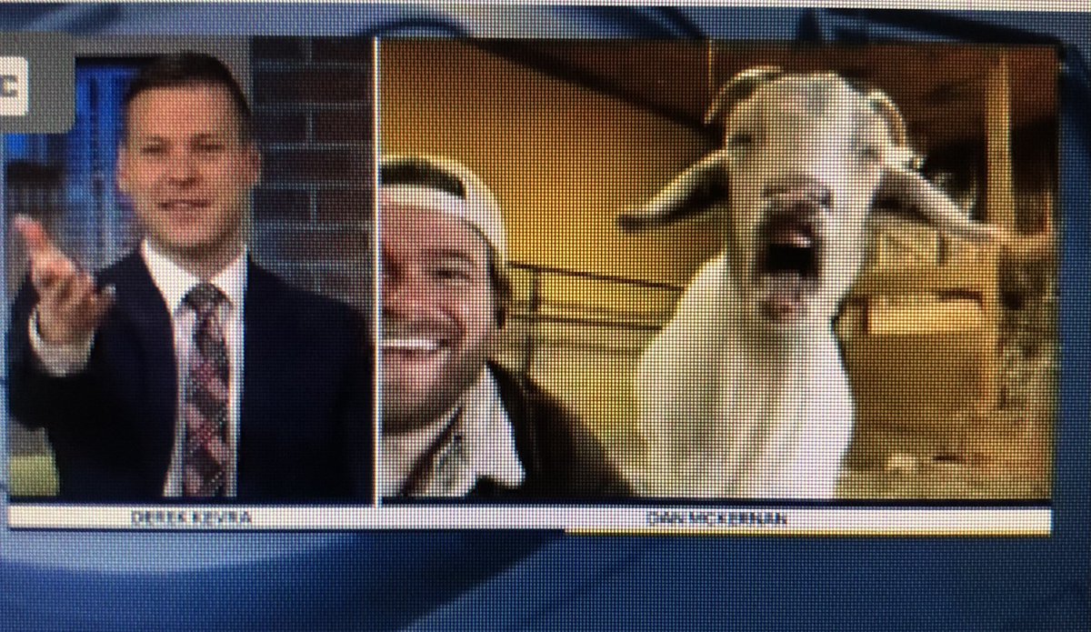 csmithcool's tweet photo. “Steve the goat” says you can’t have his man, @MaurielleFOX2 😂😘
#thenine @DanMcKernan @thebarnsanctuary https://t.co/yeYITLzJjs