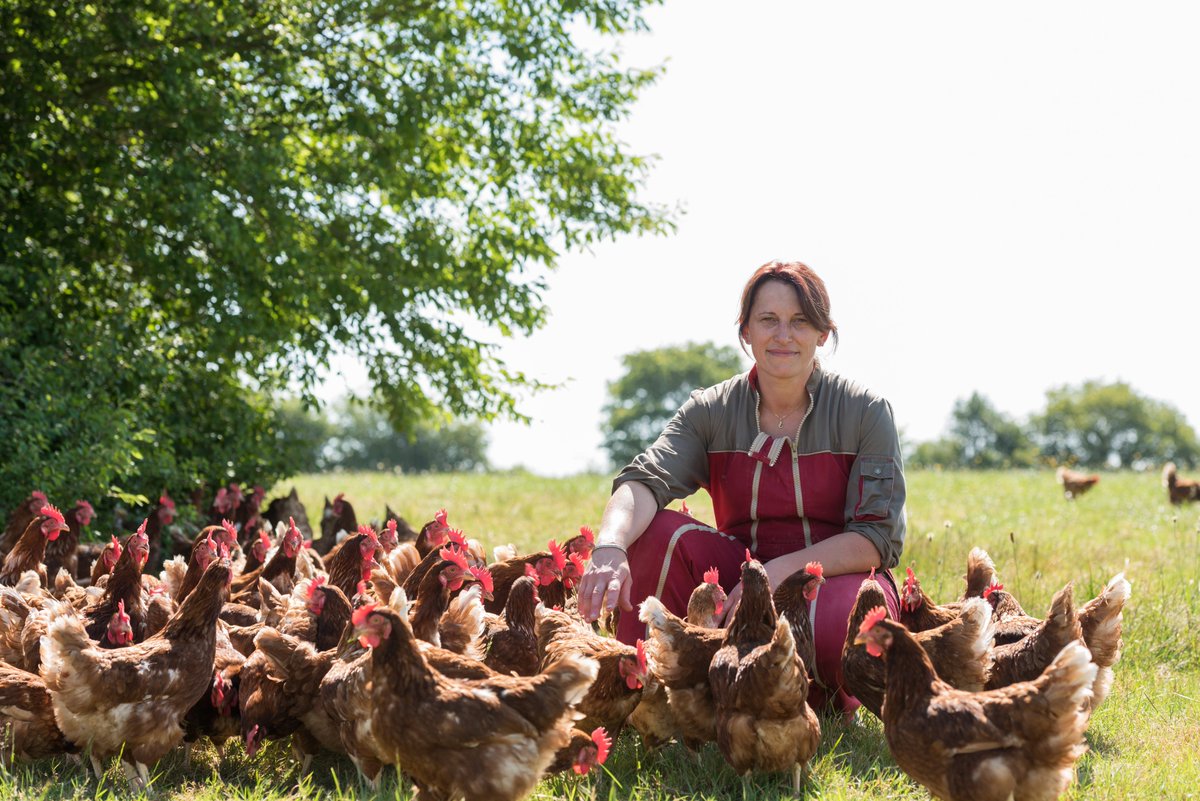 Rural_Poultry's tweet photo. Consumers should get the right information on #animalwelfare and the environmental impact so they can make an informed choice.

There has been a larger and larger gap between what is happening in the farms and what the consumer knows.
- @BirtheSteenberg @AvecPoultry https://t.co/6QBZpekQVI
