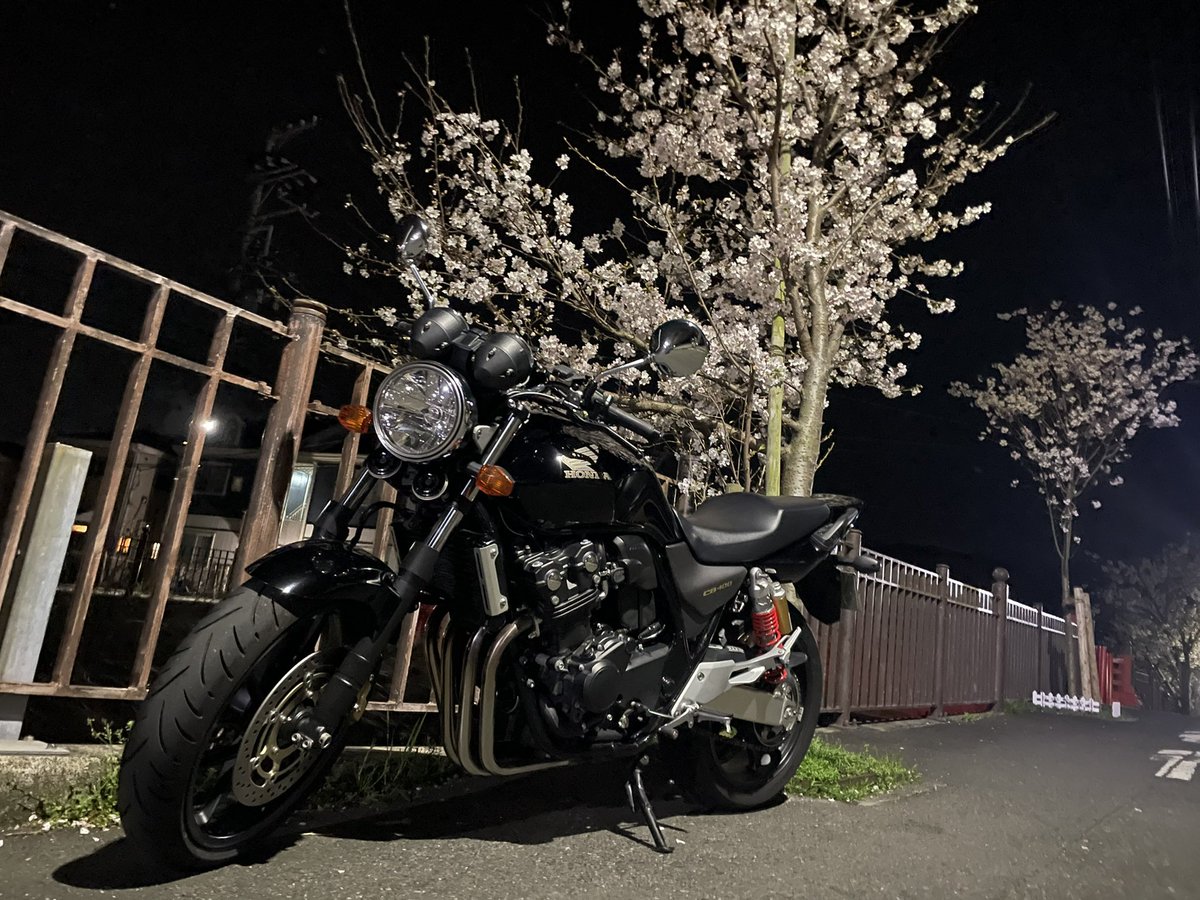 024tsujii's tweet photo. 夜桜が綺麗だし、暖かいし、空いてるし、
楽しかった。

#cb400sf #バイク好きな人と繋がりたい #バイク乗りと繋がりたい https://t.co/Bb8KIGOBcP