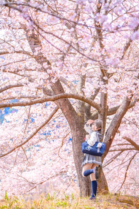 コスプレイヤーみ-やんのTwitter画像19